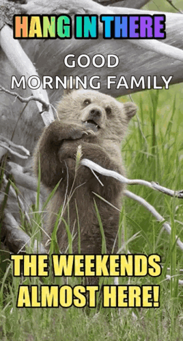 Friday Weekend GIF