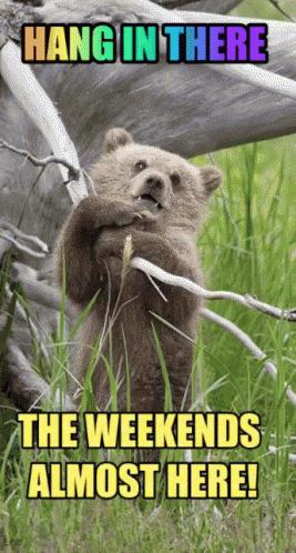 Friday Weekend GIF