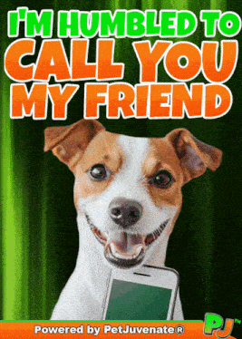 Friend Frendship Friend Appreciation Kudos Humbled Honored Petjuvenate Thank You For GIF