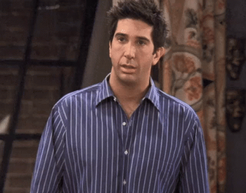 Friends Ross Geller GIF