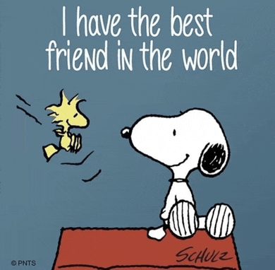 Friendship Meme