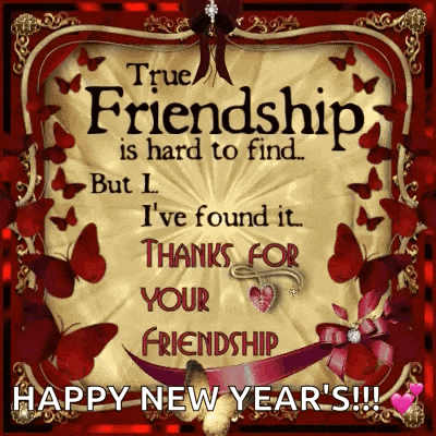 Friendship True Friendship GIF