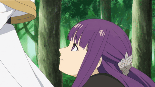 Frieren Anime GIF