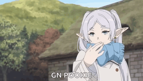 Frieren Beyond Journey'S End Sousou No Frieren GIF