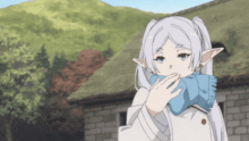 Frieren Frieren Anime GIF