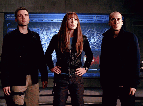 Fringe Division GIF