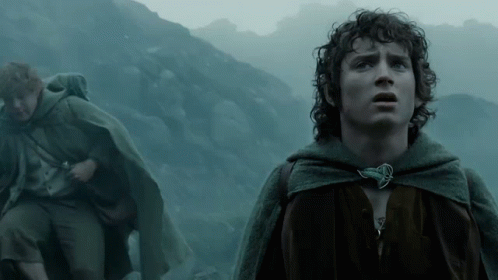 Frodo Baggins GIF