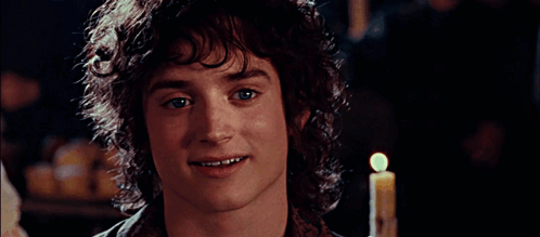 Frodo Oh No Frodo GIF
