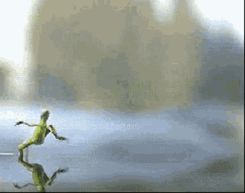 Frog GIF