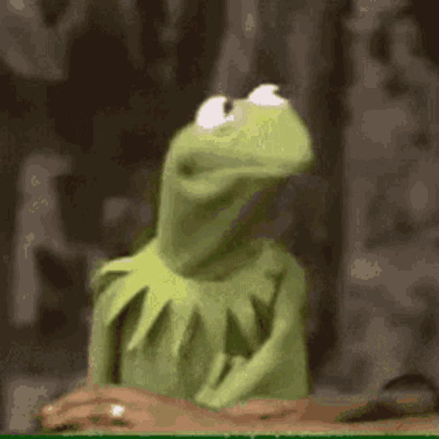 Frog Scared GIF