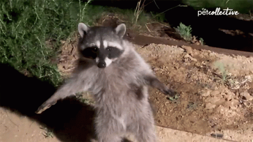 Froze Stop Moving GIF