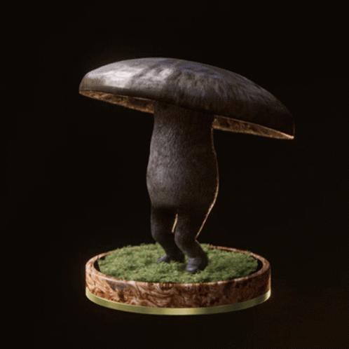 Fungi29 Fungiblefungi29 GIF