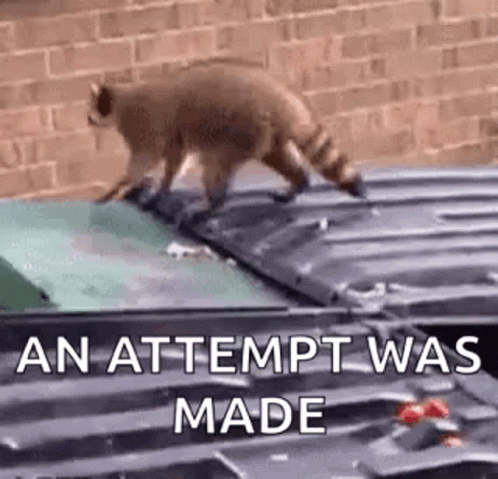 Funny Animals Fail GIF