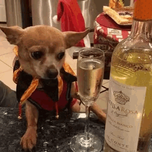 Funny Animals Ive Had Enough GIF