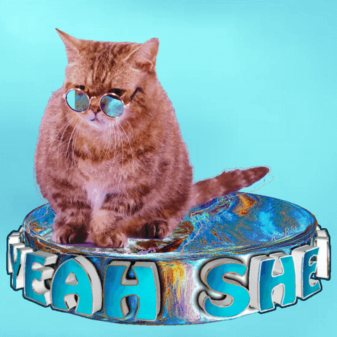 Funny Animals Joke GIF
