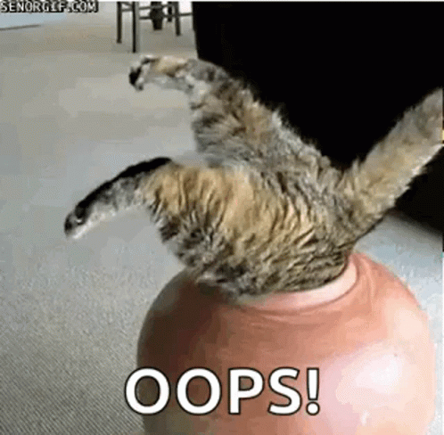 Funny Animals Stuck GIF
