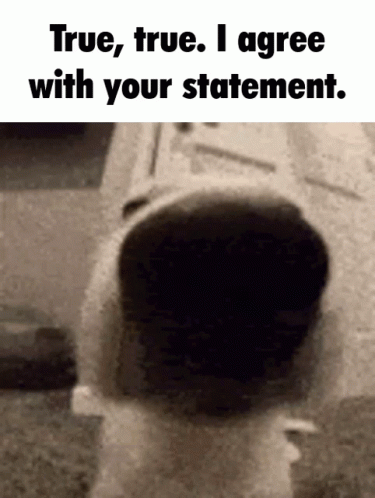 Funny GIF