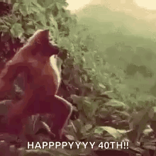 Funny GIF