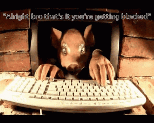 Funny Keyboardwarrior GIF