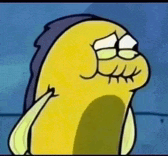 Funny Laughing Meme