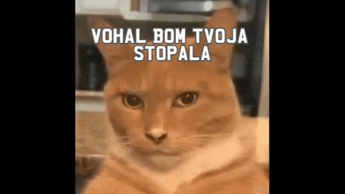 Funny Meme