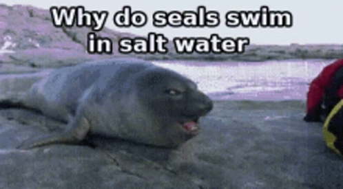 Funny Meme GIF