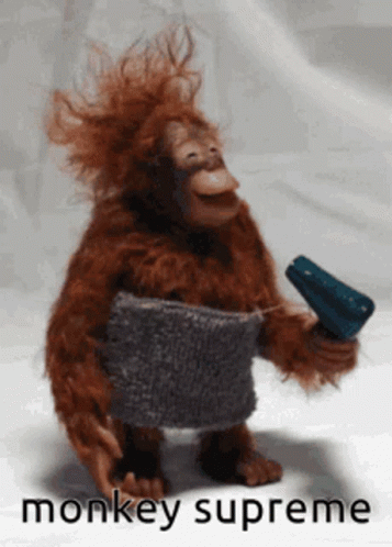 Funny Memes GIF