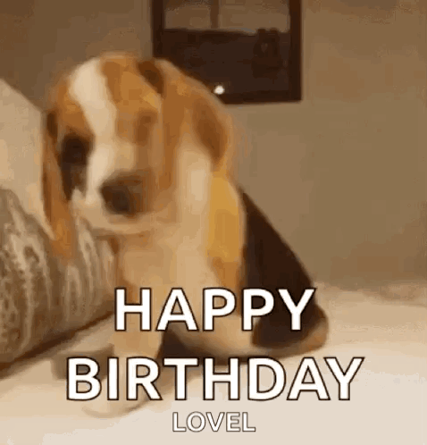 Funny GIF