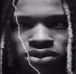Funny GIF
