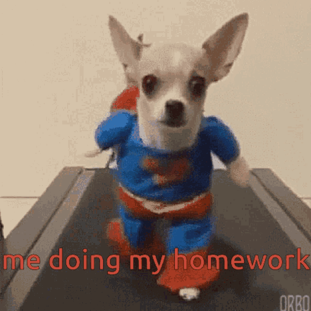 Funny Treadmill GIF