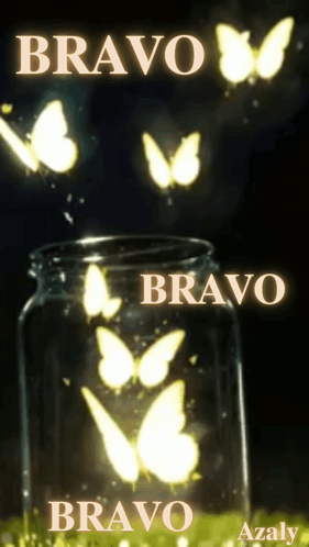 Fus Bravo GIF
