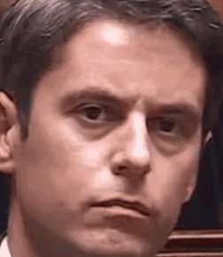 Gabriel Gabriel Attal GIF