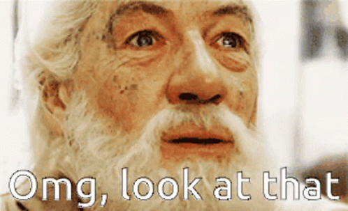 Gandalf Lord Of The Rings GIF