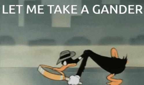 Gander Looksie GIF
