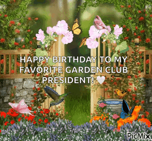 Garden Butterfly GIF