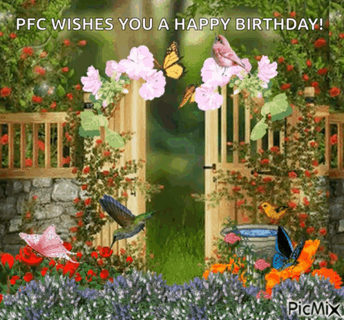 Garden Butterfly GIF