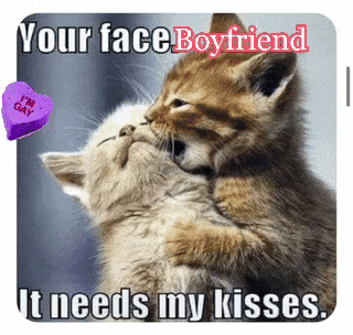 Gay Couples Gay Curious GIF