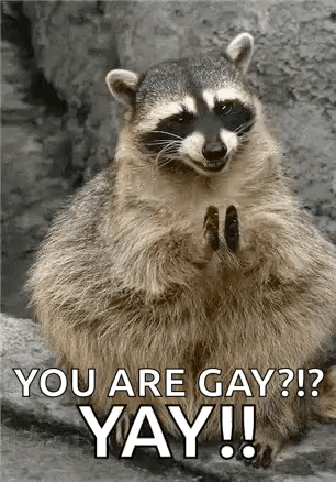 Gay Harvard GIF