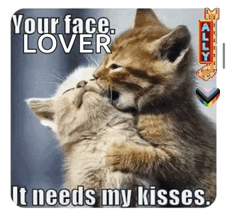 Gay Love Lovers GIF