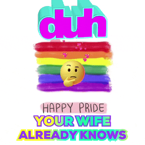 Gayness Funny Gays GIF