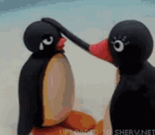 Gddf Pingu GIF