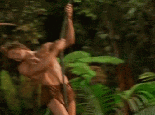George George Of The Jungle GIF