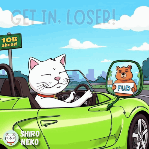 Get In Loser Shiro Neko GIF