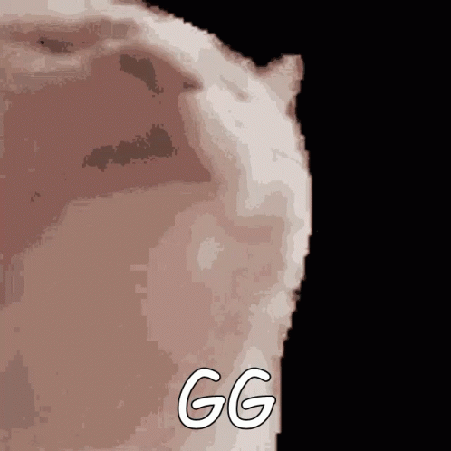 Gg Meme GIF