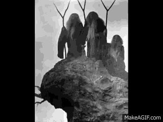 Gif Animation GIF