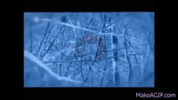 Gif Animation GIF