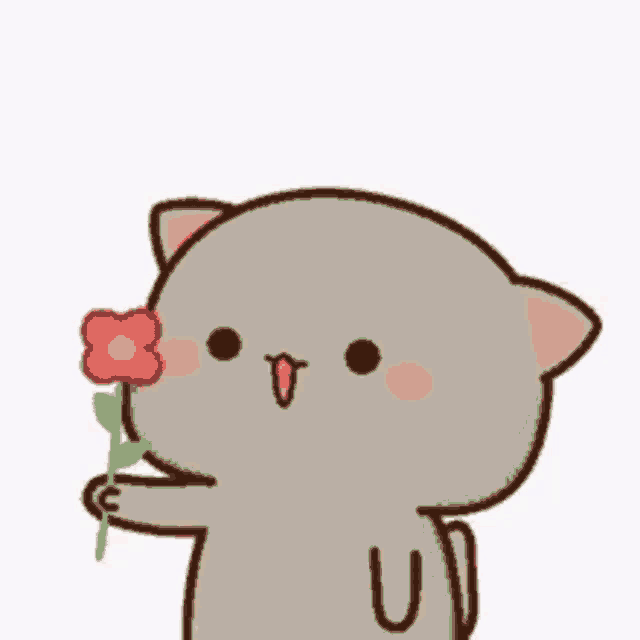 Gif Gatinho GIF