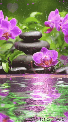 Gina101 Gina101creative GIF