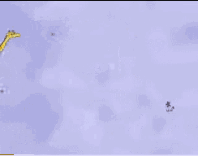 Giraffes Cant Dance Running GIF