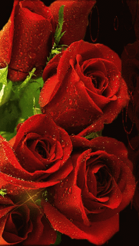 Glittering Bunch Roses Glitter GIF